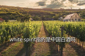 white spirit指的是中國(guó)白酒嗎