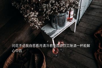 問(wèn)花不語(yǔ)我自悲看月清冷君傷否欲飲蘭陵酒一杯能解心中百