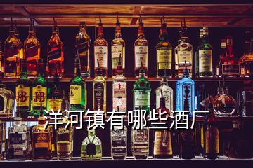 洋河鎮(zhèn)有哪些酒廠