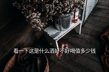 看一下這是什么酒好不好喝值多少錢(qián)