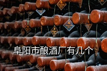 阜陽市釀酒廠有幾個