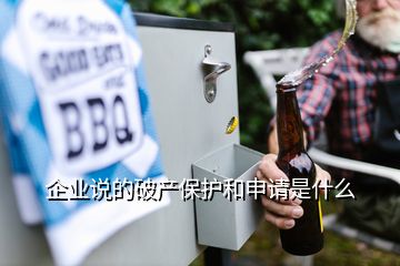 企業(yè)說的破產保護和申請是什么