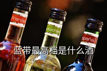 藍(lán)帶最高檔是什么酒