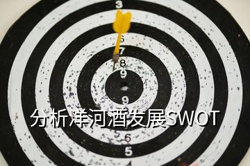 分析洋河酒發(fā)展SWOT