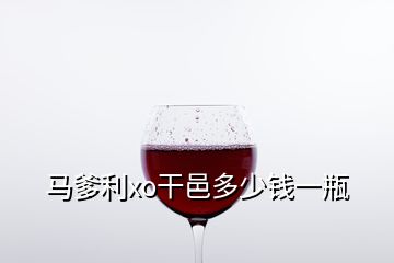 馬爹利xo干邑多少錢(qián)一瓶