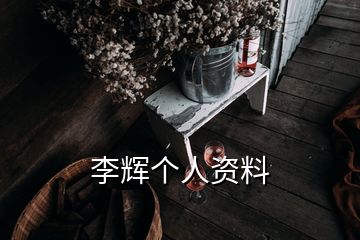 李輝個人資料