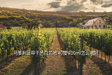 馬爹利藍帶干邑白蘭地 40度 700ml怎么喝好