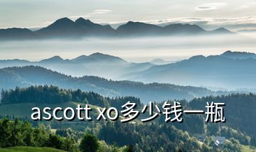 ascott xo多少錢一瓶