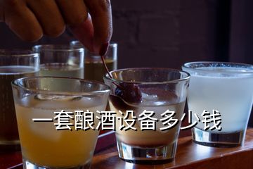 一套釀酒設(shè)備多少錢(qián)