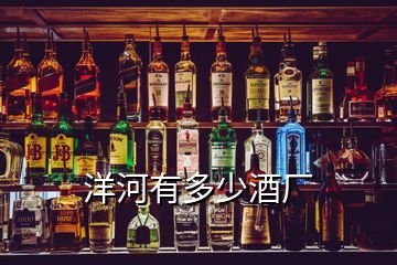 洋河有多少酒廠