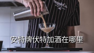 安特牌伏特加酒在哪里