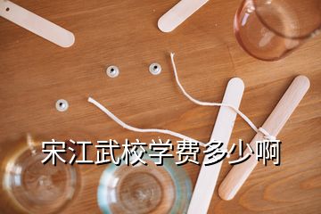 宋江武校學(xué)費(fèi)多少啊