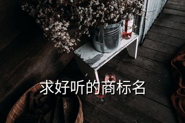 求好聽(tīng)的商標(biāo)名