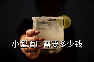 小型酒廠需要多少錢