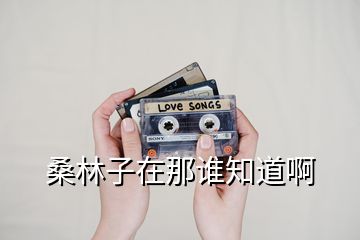 桑林子在那誰知道啊