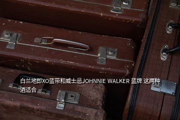 白蘭地即XO藍(lán)帶和威士忌JOHNNIE WALKER 藍(lán)牌 這兩種酒適合