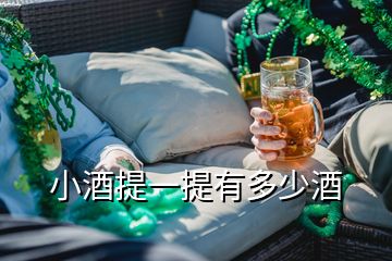 小酒提一提有多少酒