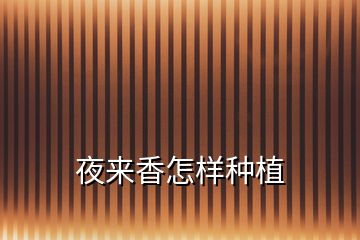 夜來(lái)香怎樣種植