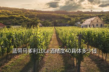 藍帶馬爹利10Le酒精度40具體多少錢