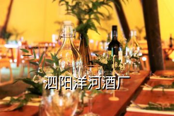 泗陽洋河酒廠