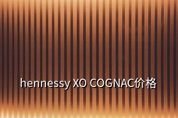 hennessy XO COGNAC價格