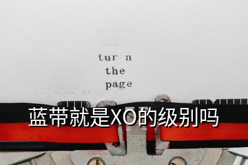 藍帶就是XO的級別嗎