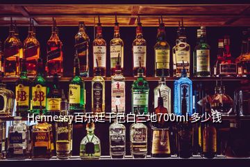 Hennessy百樂(lè)廷干邑白蘭地700ml 多少錢