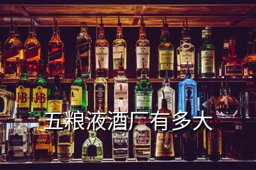 五糧液酒廠有多大