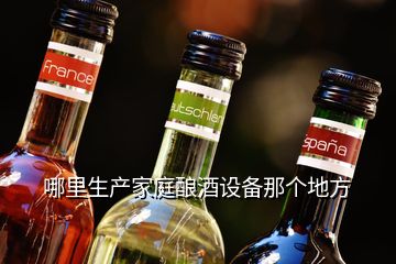 哪里生產家庭釀酒設備那個地方