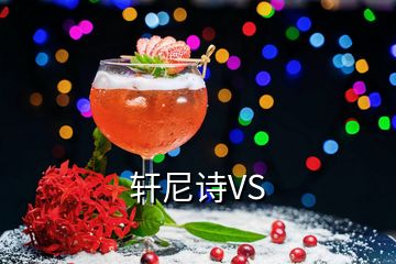 軒尼詩VS