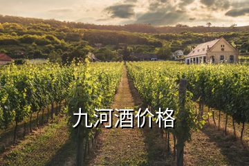 九河酒價格