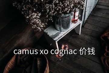 camus xo cognac 價錢