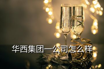 華西集團(tuán)一公司怎么樣