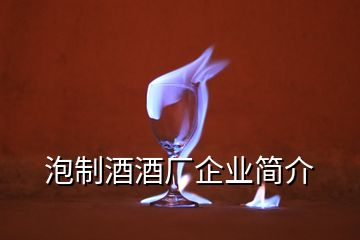 泡制酒酒廠企業(yè)簡(jiǎn)介