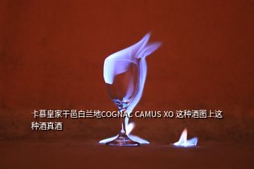 卡慕皇家干邑白蘭地COGNAC CAMUS XO 這種酒圖上這種酒真酒