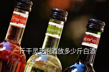 一斤干靈芝泡酒放多少斤白酒