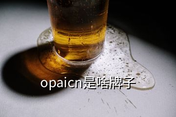 opaicn是啥牌子