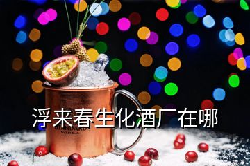 浮來(lái)春生化酒廠在哪