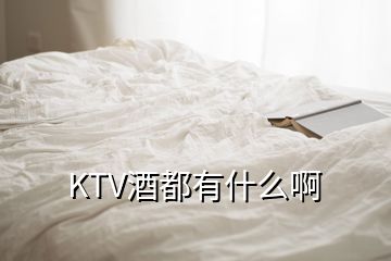 KTV酒都有什么啊