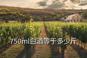 750ml白酒等于多少斤