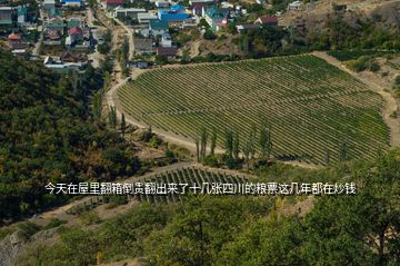 今天在屋里翻箱倒貴翻出來(lái)了十幾張四川的糧票這幾年都在炒錢