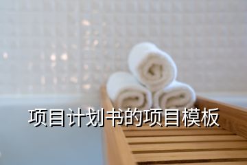 項(xiàng)目計(jì)劃書的項(xiàng)目模板