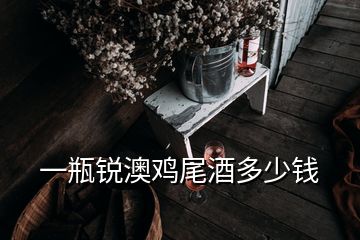 一瓶銳澳雞尾酒多少錢(qián)