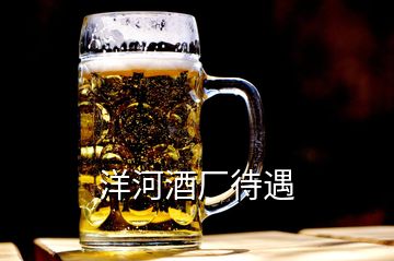 洋河酒廠待遇