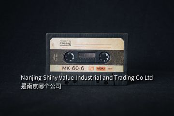 Nanjing Shiny Value Industrial and Trading Co Ltd 是南京哪個(gè)公司