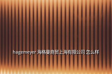 hagemeyer 海格曼商貿上海有限公司 怎么樣