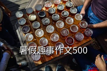 暑假趣事作文500