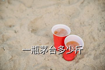 一瓶茅臺(tái)多少斤