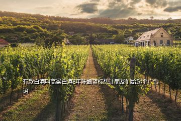 有款白酒叫高粱白酒8年陳釀藍(lán)標(biāo)想讓朋友們給起個廣告語