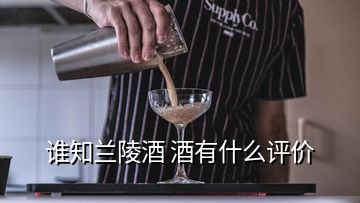 誰知蘭陵酒 酒有什么評(píng)價(jià)